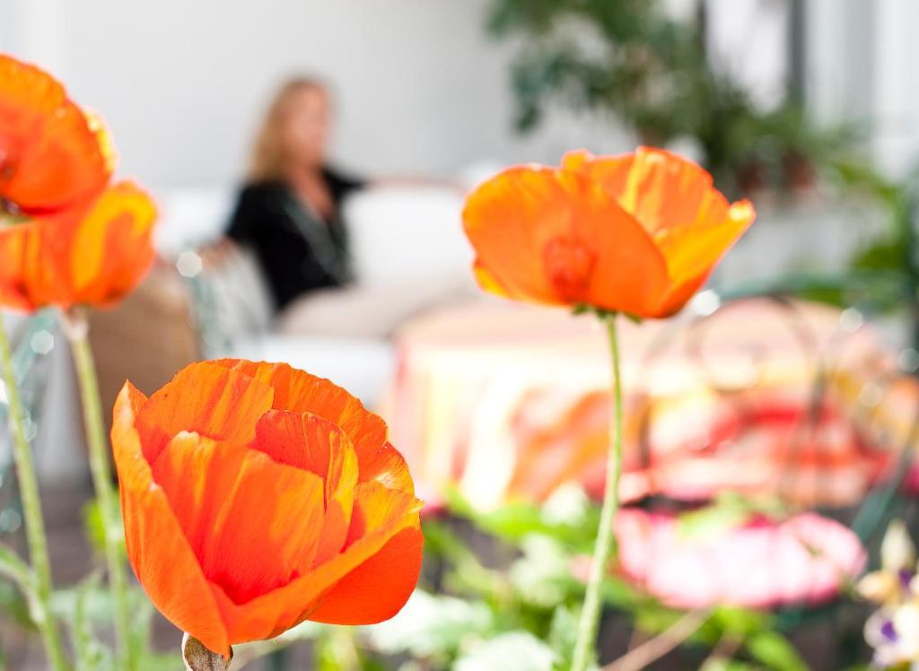 Hotel Geyer クラーゲンフルト エクステリア 写真